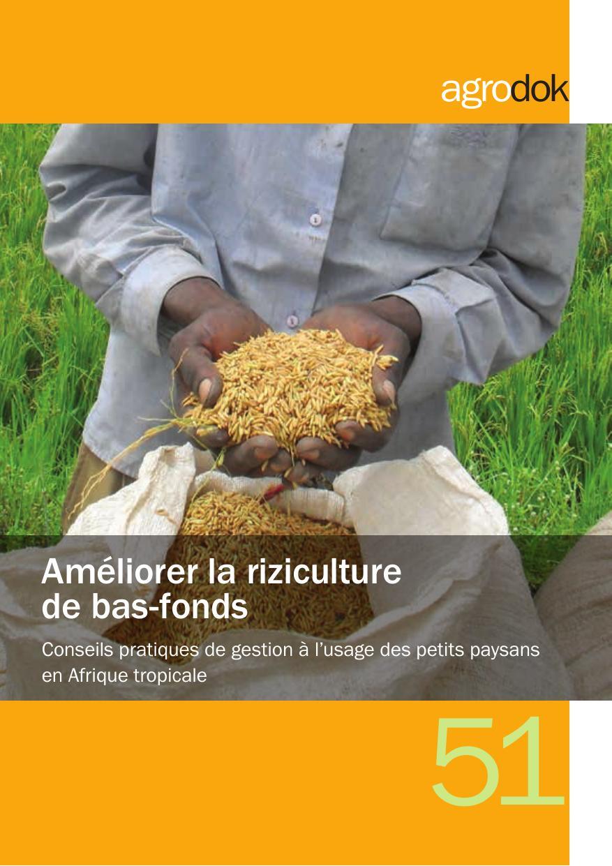 Améliorer la riziculture des bas-fonds