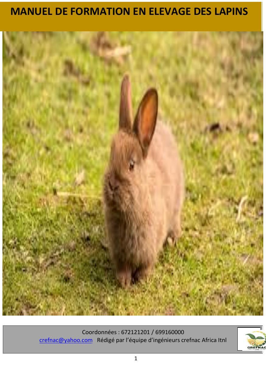 MANUEL ELEVAGE DES LAPINS modif - Solange TSIMEGNE